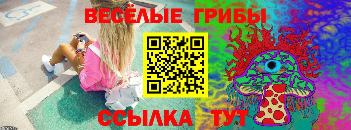 Галлюциногенные грибы мицелий Москва